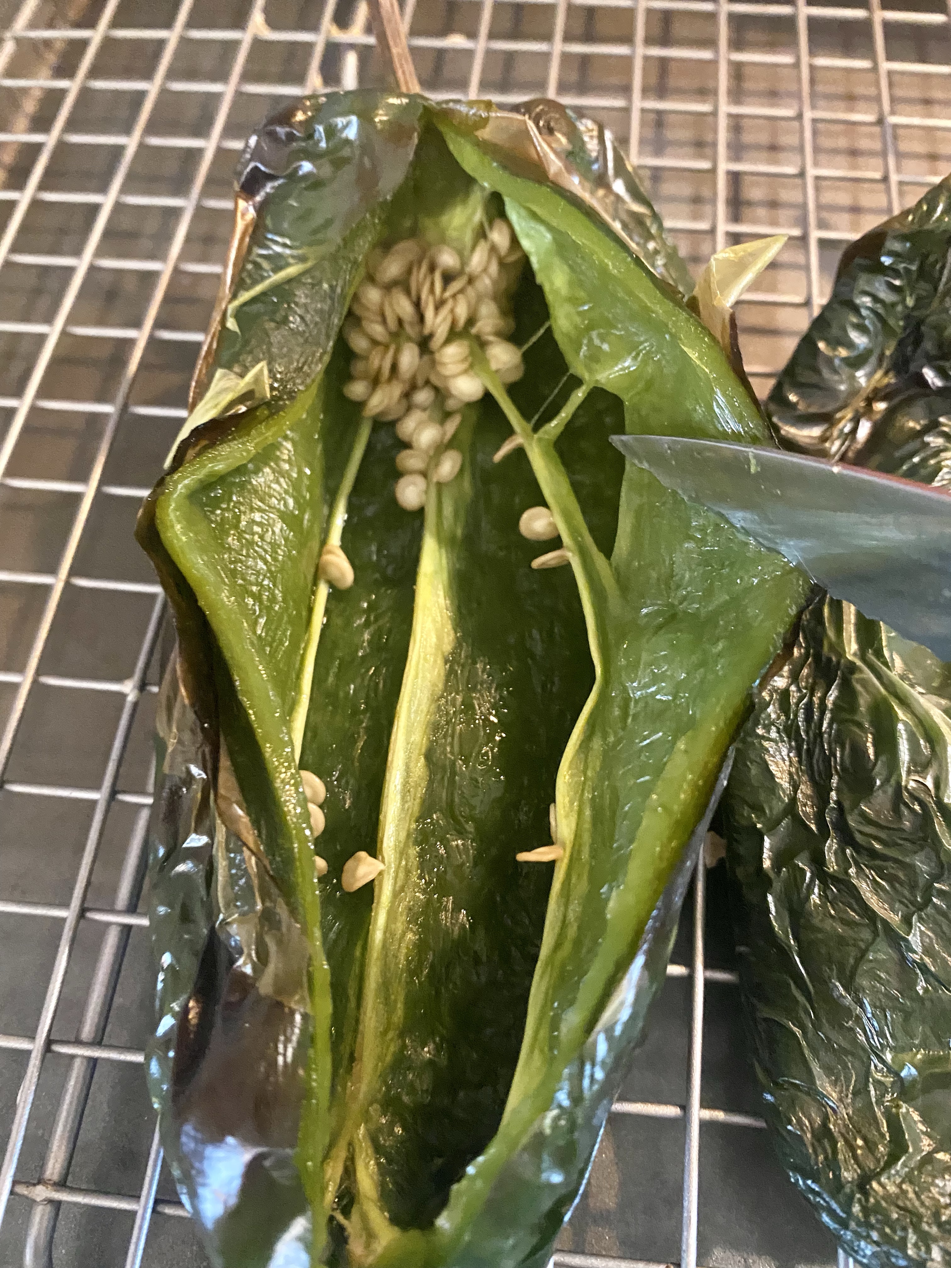 poblano pocket