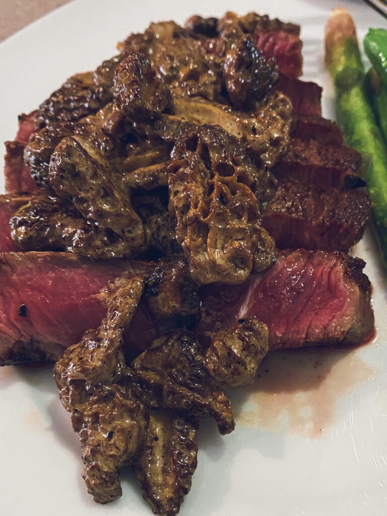 seared steak with morel mushroom