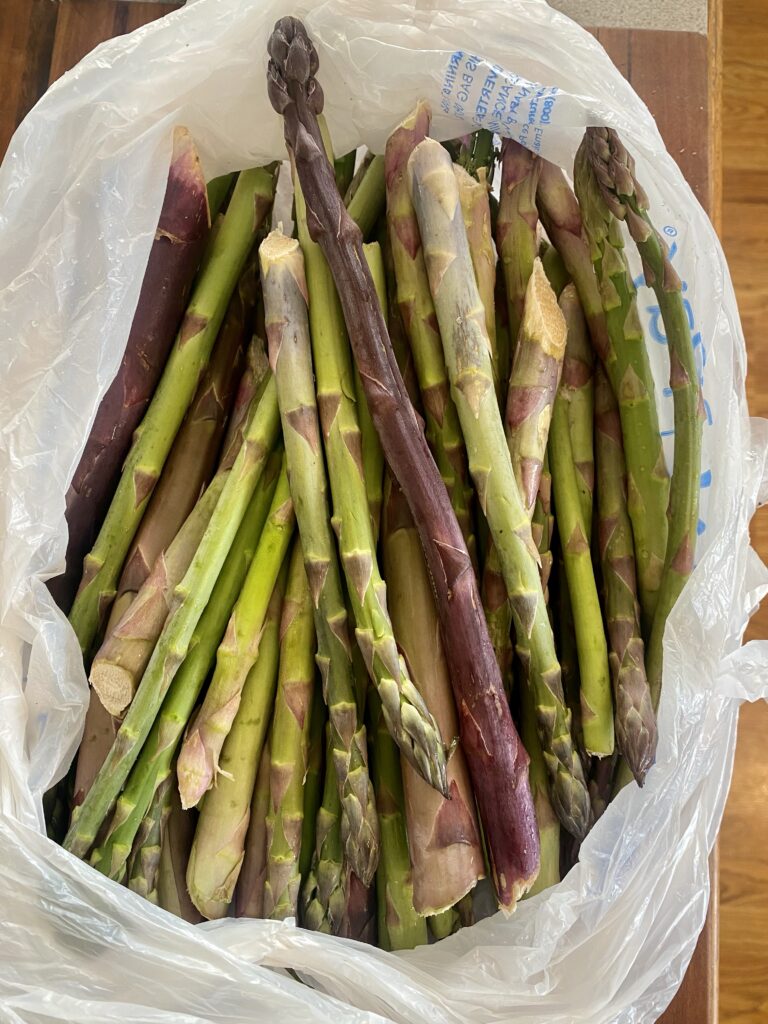 fresh asparagus